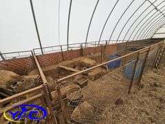 Dog Kennel Assembly