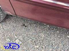 1998  FORD  F150 REG CAB 2WD