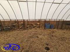 Dog Kennel Assembly