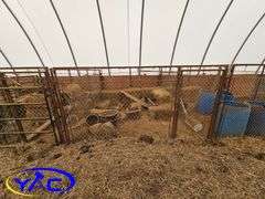 Dog Kennel Assembly