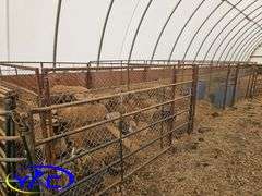 Dog Kennel Assembly