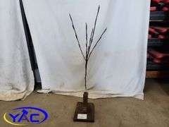 LED Tree Light On Stand