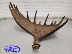 Moose Shed