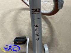 Raliegh Beachcruiser Bike