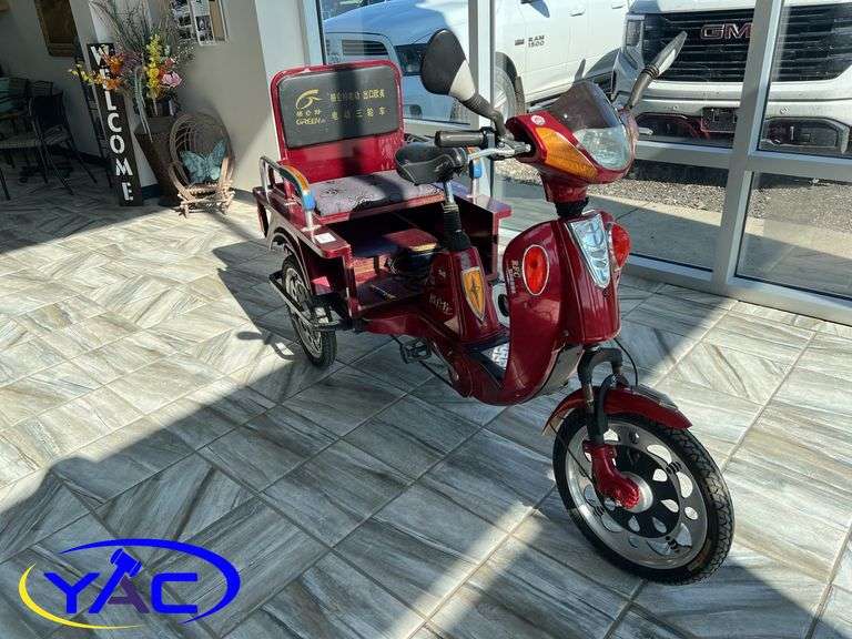Adult Electric 3 Wheel Bike