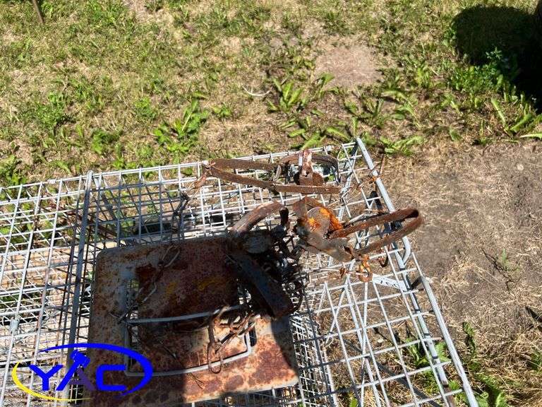 Assortment Of Traps
