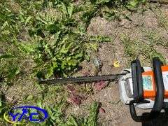 Stihl MS271 Chainsaw