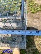 Assortment Of Traps