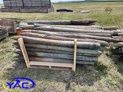 Assorted Fence Posts