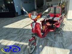 Adult Electric 3 Wheel Bike