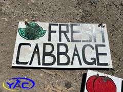 3- Large Wood Signs