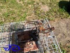 Assortment Of Traps