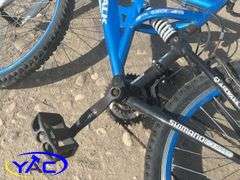 24" Airwalk Bicycle