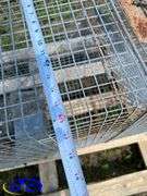 Assortment Of Traps