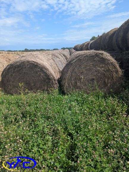 34- 2024 Grass Round Hay Bales (BUYER MUST PAY 34X THE BID PRICE)