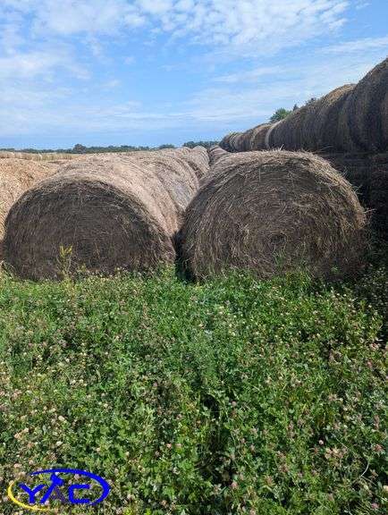 34- 2024 Grass Round Hay Bales (BUYER MUST PAY 34X THE BID PRICE)