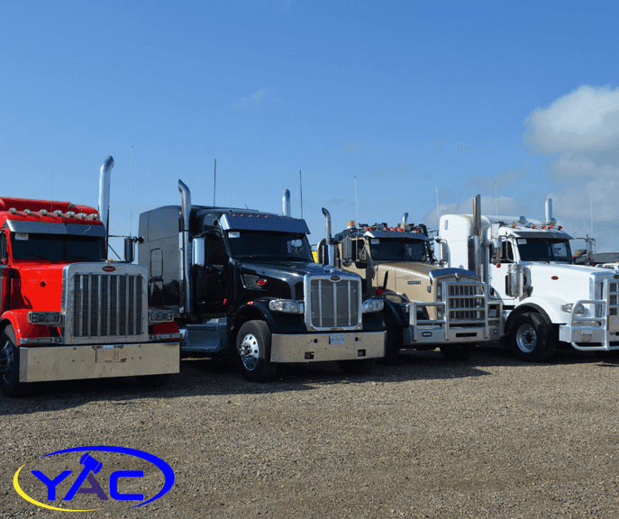 Fall Clean Up Auction - Day 2