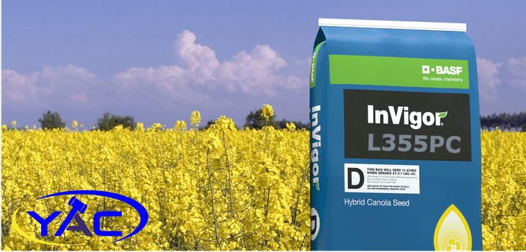 One Bag InVigor L355PC Canola Seed Retail Value Of $1100 from BASF