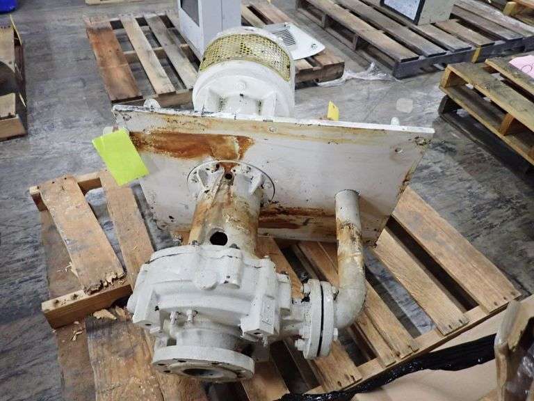 Egger Turo Pump Yellow Tag Auctions