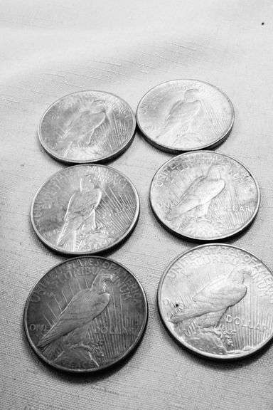 Lot of (6) Peace Dollars