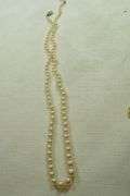 Lot of Assorted Jewelry