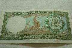 Lot of Foreign Currency