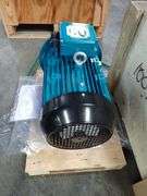 Brock Crompton 10 HP Induction Motor