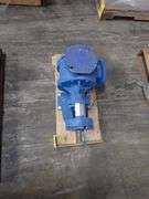 Viking Internal Gear Pump