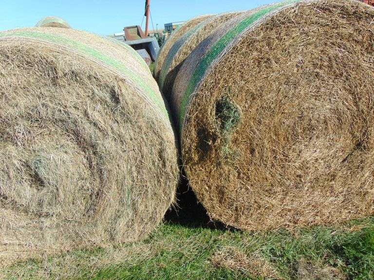 SIX 4X5 ALF-GRASS MIXED BALES