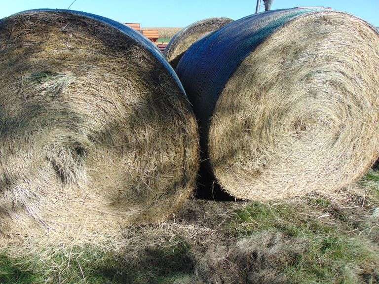 SIX 4X5 GRASS HAY BALES