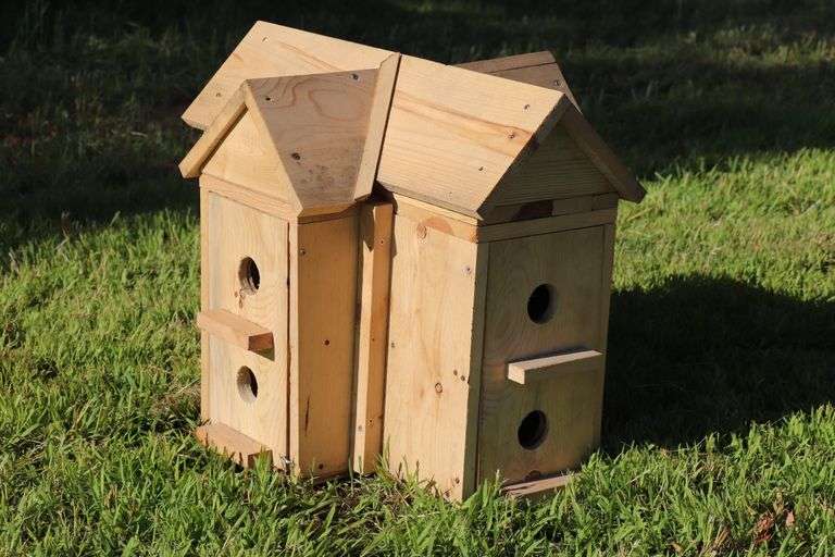 8 ROOM PURPLE MARTIN CONDO